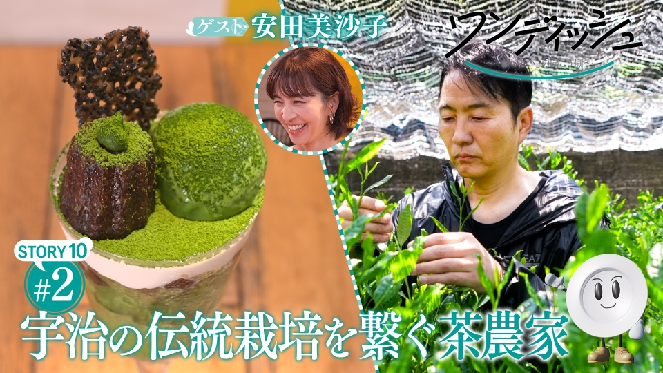 Blu-ray 安田美沙子 One day in KYOTO ～ハイビジョン京都 Amazon.co.jp: 安田美沙子 みちゃこと行く京都の旅 [DVD] : 安田美沙子