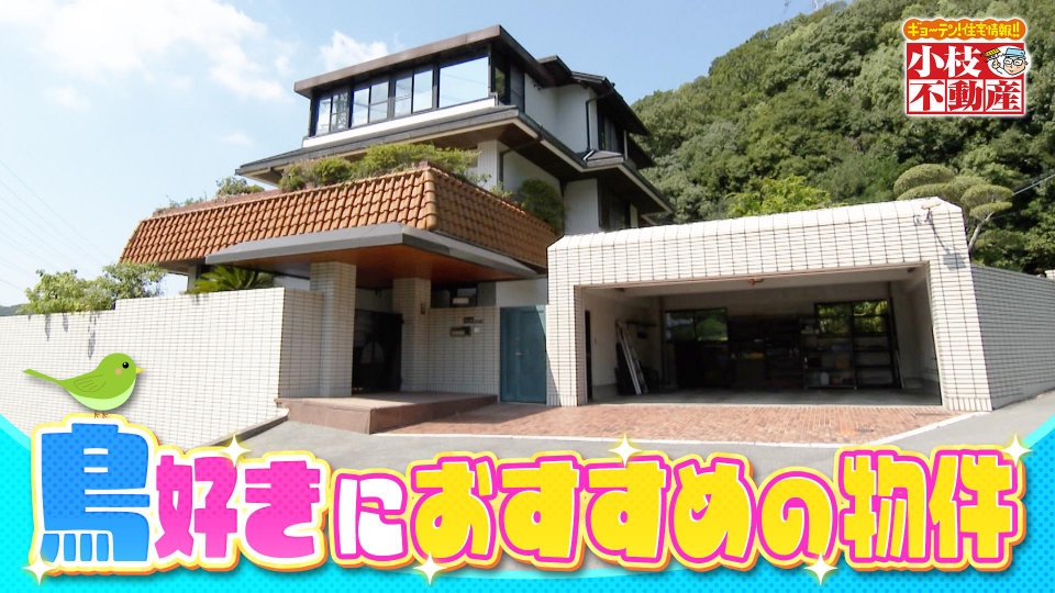 発見！仰天！！プレミアもん！！！ 土曜はダメよ！ 10月11日(土)放送分