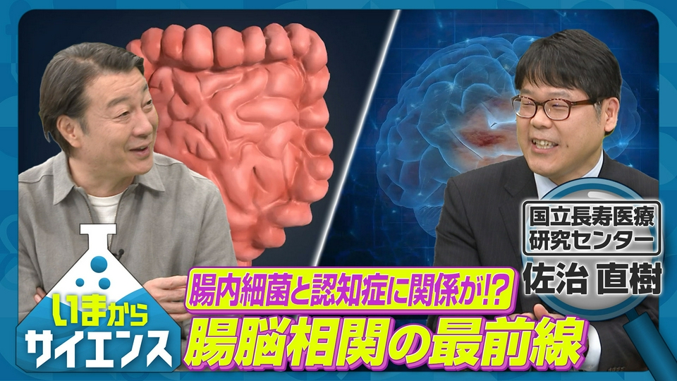 【中古】 五臓元気で認知症知らず / 賀久一郎 いまからサイエンス 5月20日(水)放送分 腸内細菌と認知症に関係が