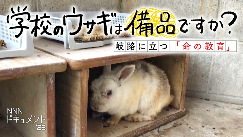 NNNドキュメント 7月12日(日)放送分 学校のウサギは備品ですか？～岐路