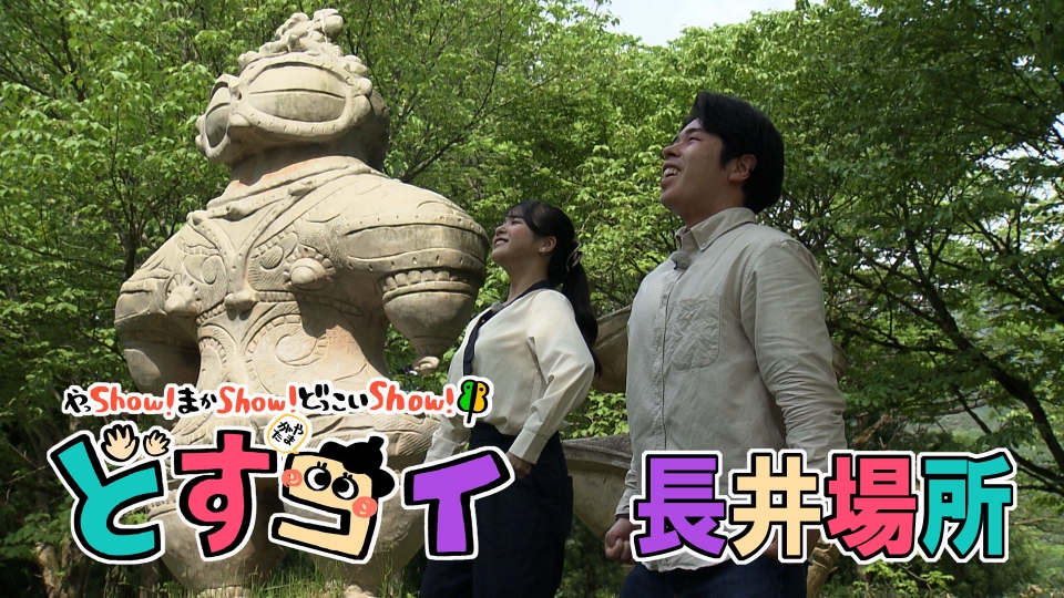 どすコイ やまがた 6月11日(水)放送分 長井場所｜バラエティ｜見逃し