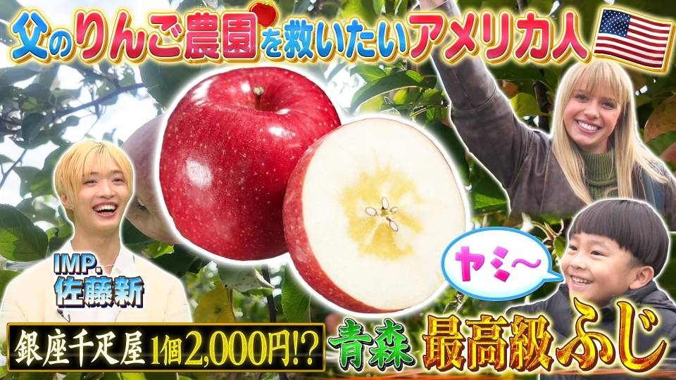 りんご 世界！ニッポン行きたい人応援団 12月22日(月)放送分 テーマ「りんご