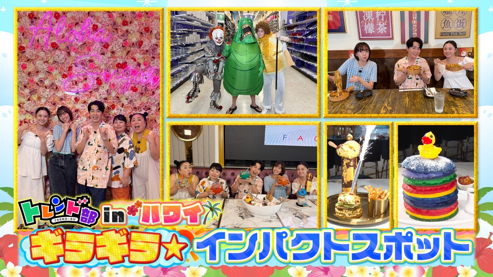 き*ん様 A34超特選！トレンド某テレビ局のロゴにそっくり！珍パキポディウム　グ A34某テレビ局のロゴにそっくり！珍パキポディウム グラキリス