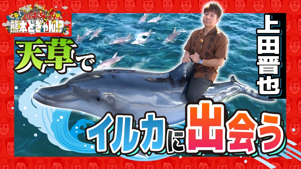 くりぃむしちゅーの熊本どぎゃん!? 10月31日(金)放送分 上田晋也が天草