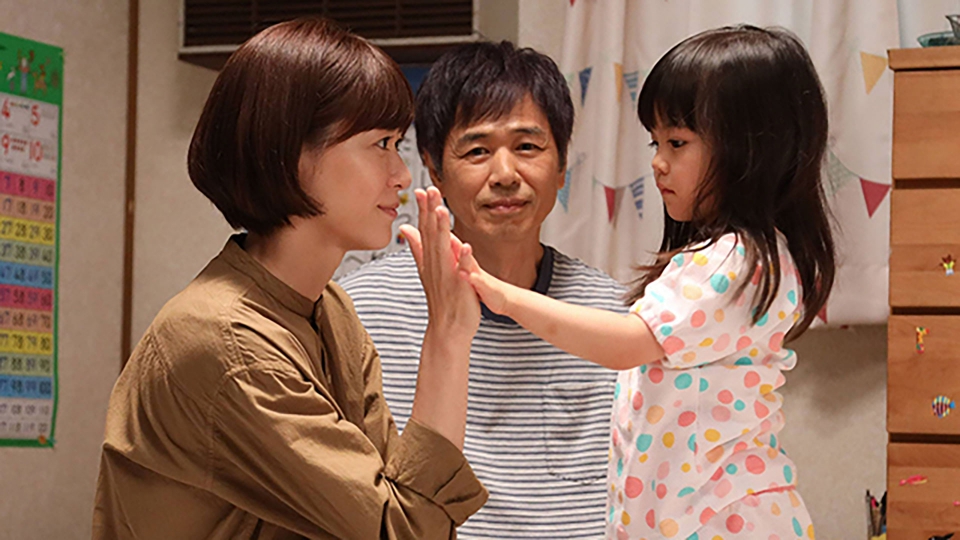 監察医 朝顔 全6枚 第1話～第11話 最終 + 特別編