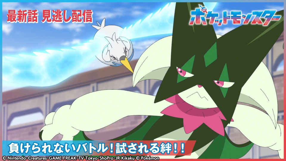 ポケットモンスター 2月6日(金)放送分 負けられないバトル！試される絆