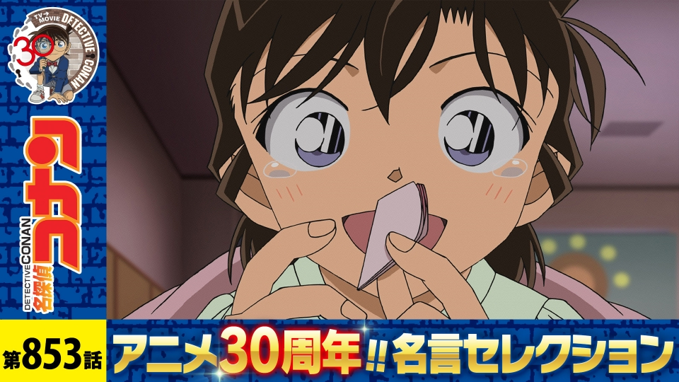 名探偵コナン 2017年放送 サクラ組の思い出（蘭GIRL）｜アニメ