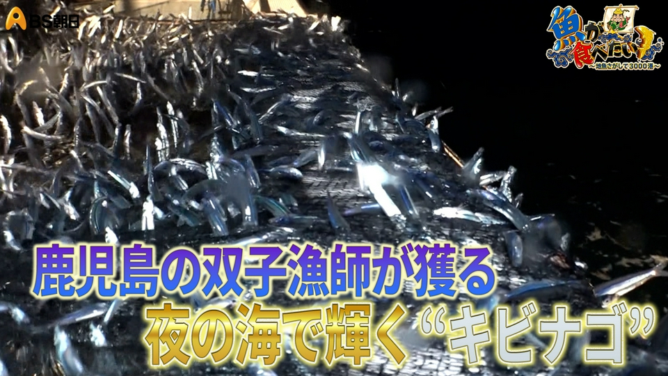魚が食べたい！ ～地魚さがして3000港～ 6月10日(水)放送分 絶品の