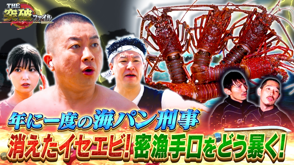 らなさん占有（破損状況） THE突破ファイル 8月21日(木)放送分 加害者の濡れ衣どう払う!?交通事故