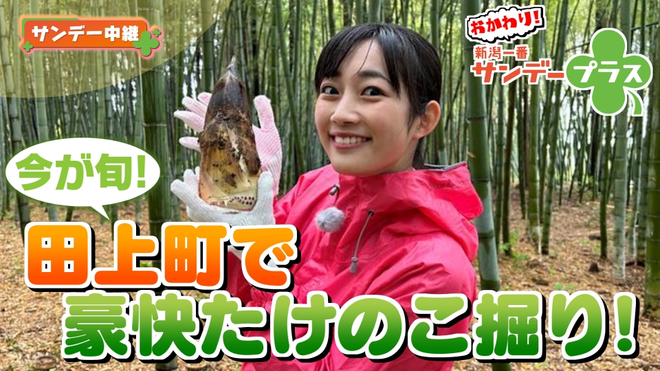 おかわり！新潟一番サンデープラス 4月23日(日)放送分 今が旬！田上町