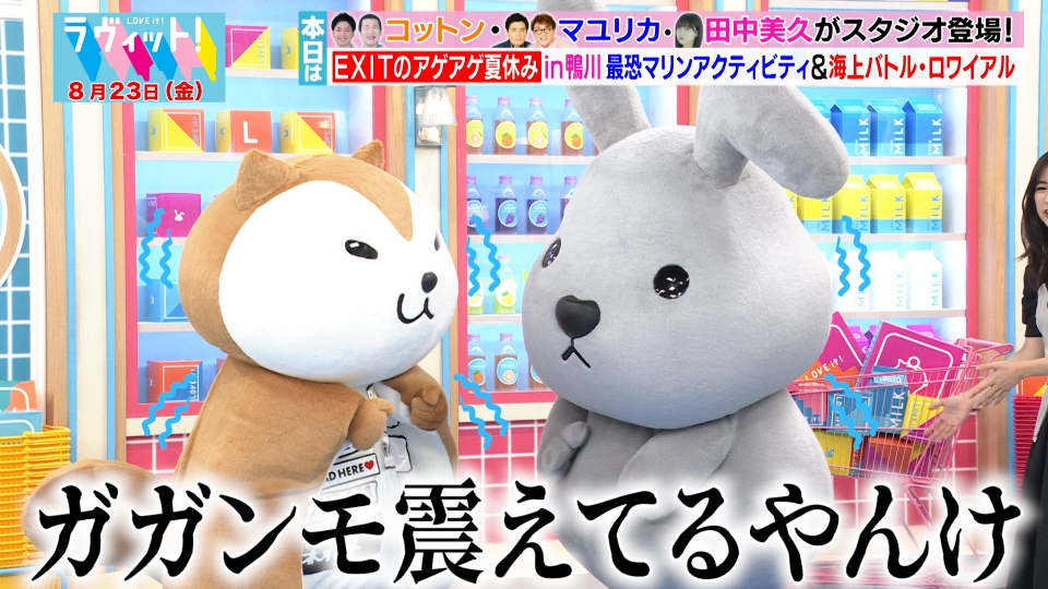 ラヴィット！ 8月23日(金)放送分 【OP先行】マユリカ・コットン・田中