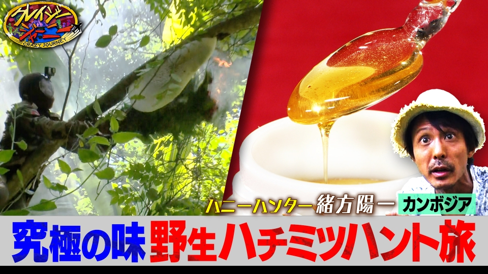 クレイジージャーニー 1月26日(月)放送分 ジャングルのお宝☆究極の
