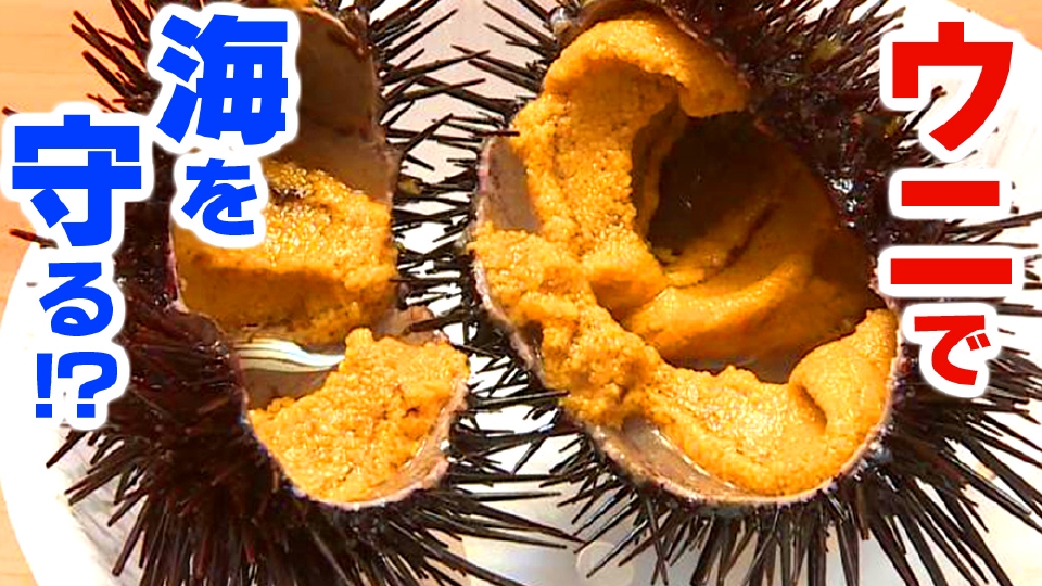 ニュースプラス1いわて TVer