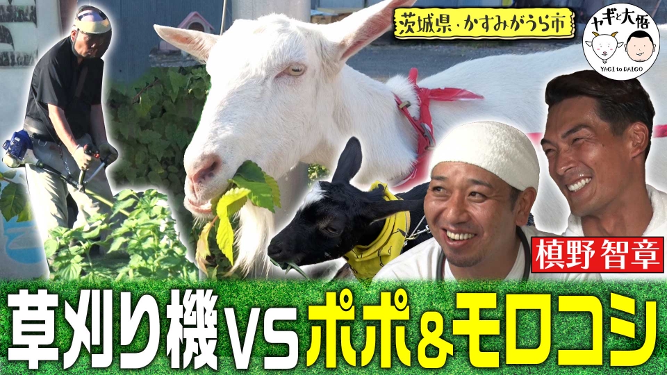 ヤギと大悟 11月3日(金)放送分 茨城かすみがうら編＃4 元東証勤務の
