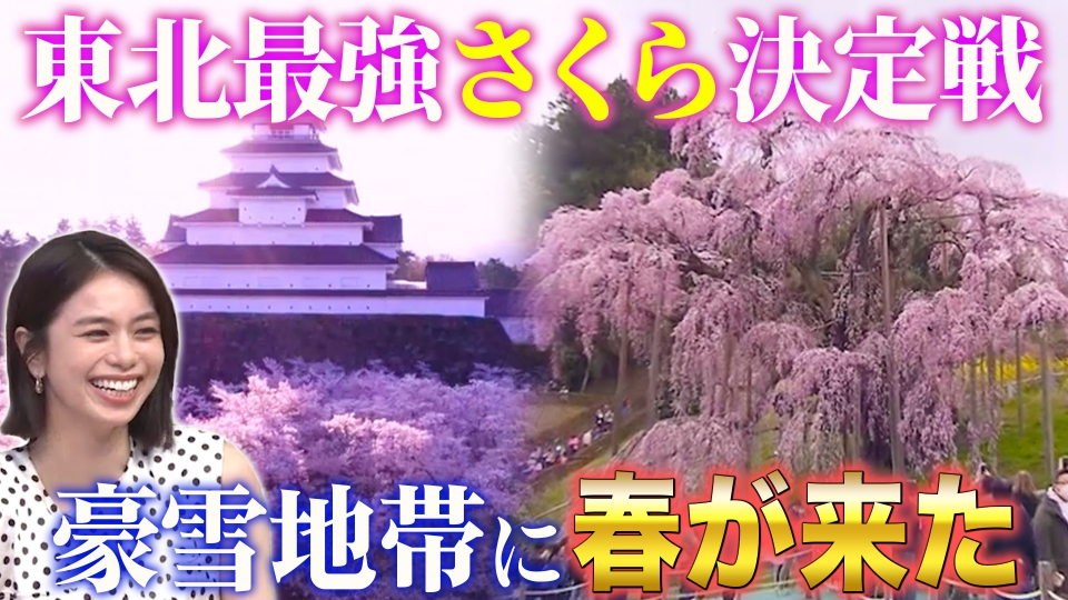 秘密のケンミンSHOW極 5月29日(木)放送分 絶景みちのく桜前線SP