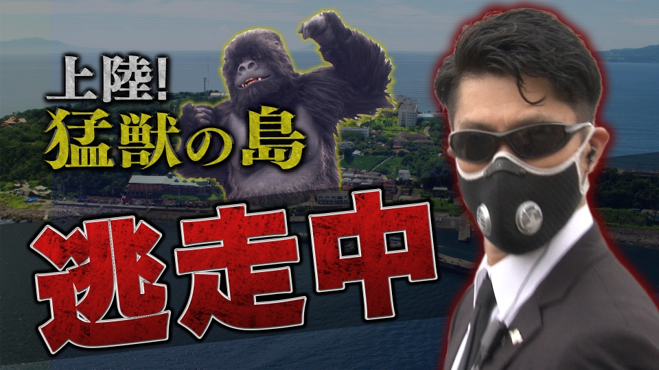 逃走中 8月28日(日)放送分 初島に猛獣が出現！？島を巻き込んだ