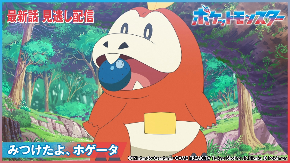 見捨てられた ホゲータ