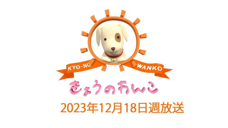 きょうのわんこ 2023/12/18週放送 ｜バラエティ｜見逃し無料配信はTVer