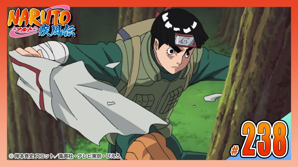 NARUTO-ナルト- 疾風伝 2007年放送 第二百三十八話 突入！ボタンフック