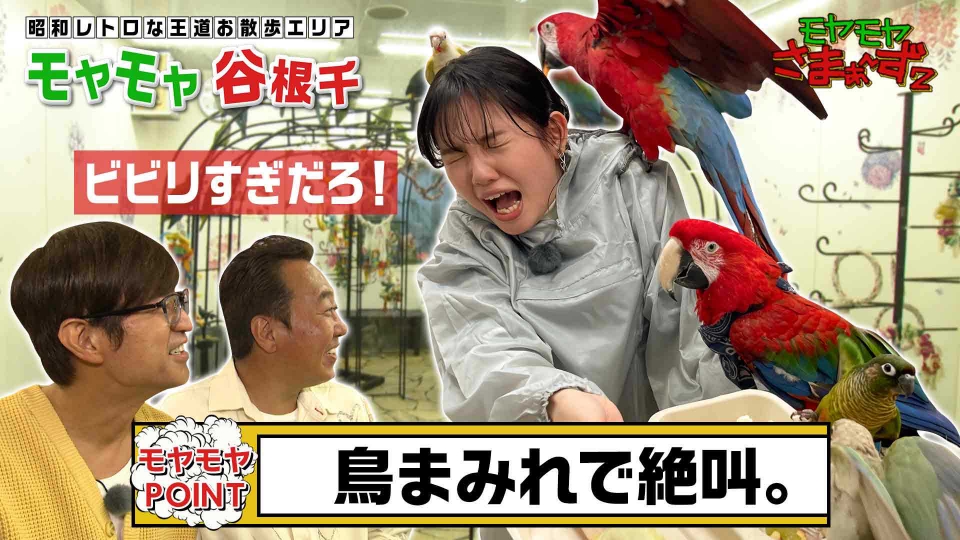 モヤモヤさまぁ～ず2 4月11日(火)放送分 in谷中・根津・千駄木 昭和っ