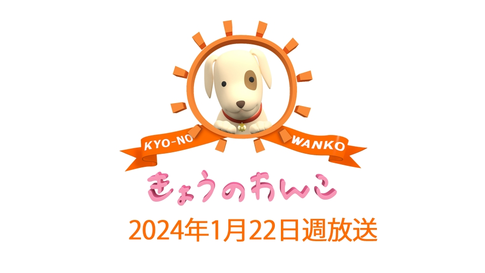 epnb9exnfj.jpg?v=16