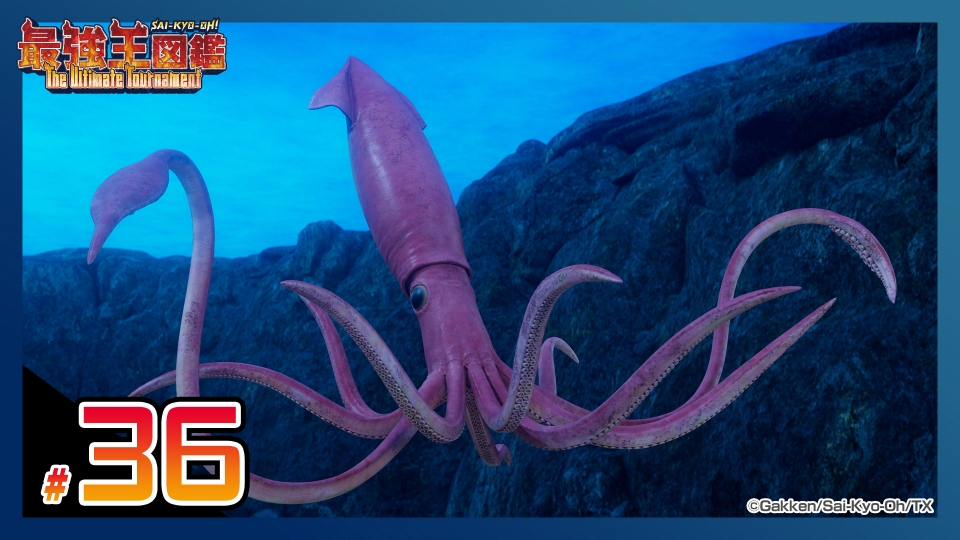 最強王図鑑 ～The Ultimate Tournament～ 12月7日(日)放送分