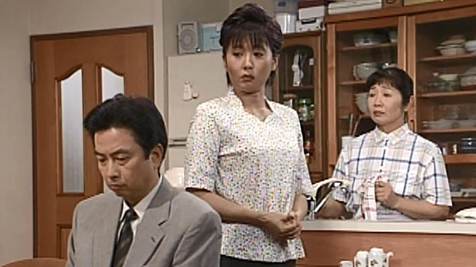 渡る世間は鬼ばかり 第4シリーズ(橋田壽賀子ドラマ) 1999年放送