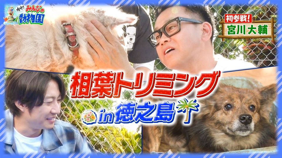 嗚呼!!みんなの動物園 1月17日(土)放送分 相葉&宮川大輔が鹿児島県