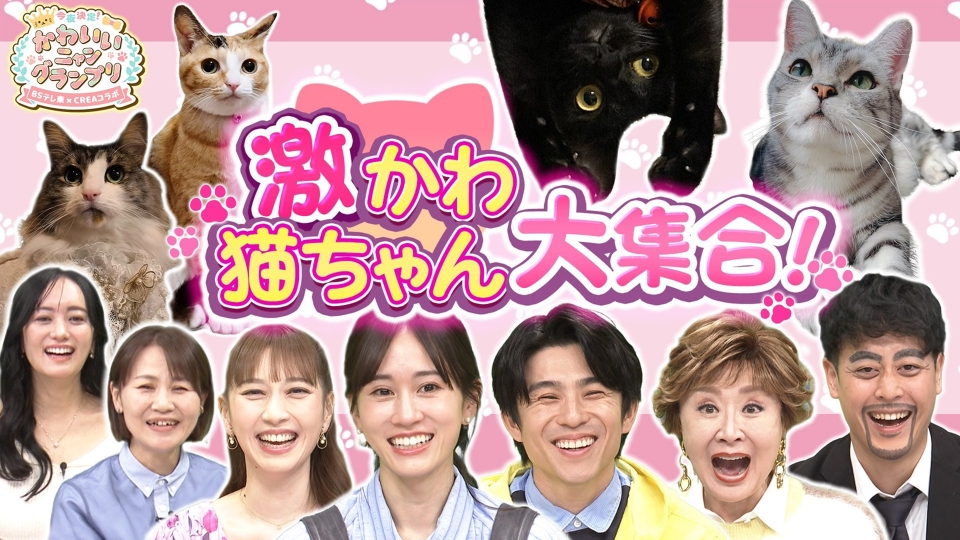 今夜決定！かわいいニャングランプリ～BSテレ東×CREA コラボ～ 2月22日