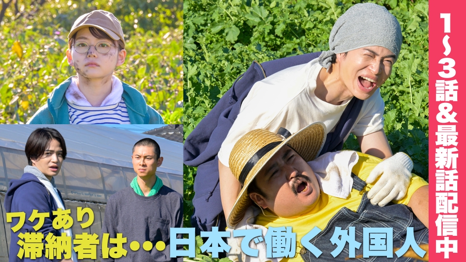 ゼイチョー ～「払えない」にはワケがある～ 11月11日(土)放送分