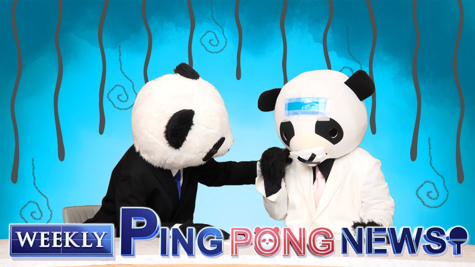 epp6tr1zqg.jpg?v=4