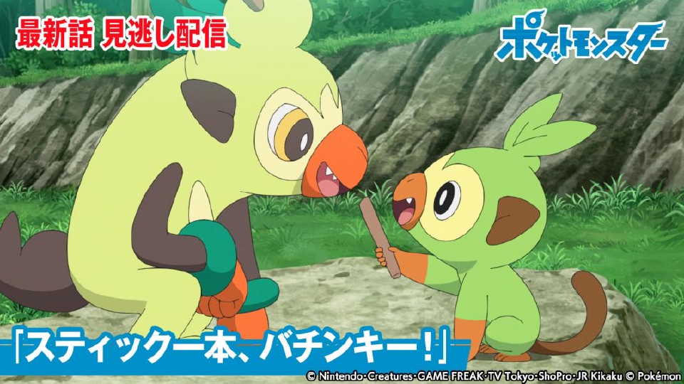 ポケットモンスター Tver