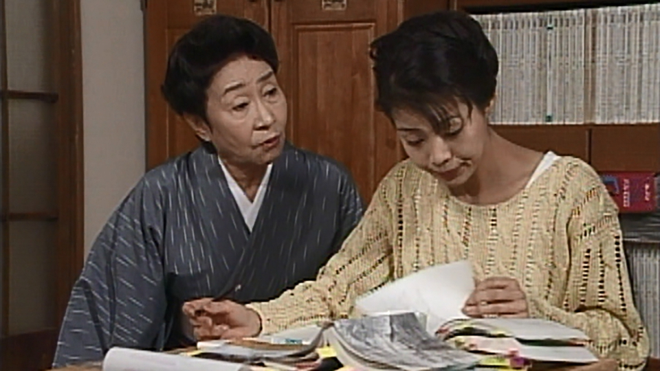 渡る世間は鬼ばかり 第3シリーズ(橋田壽賀子ドラマ) 1996年放送