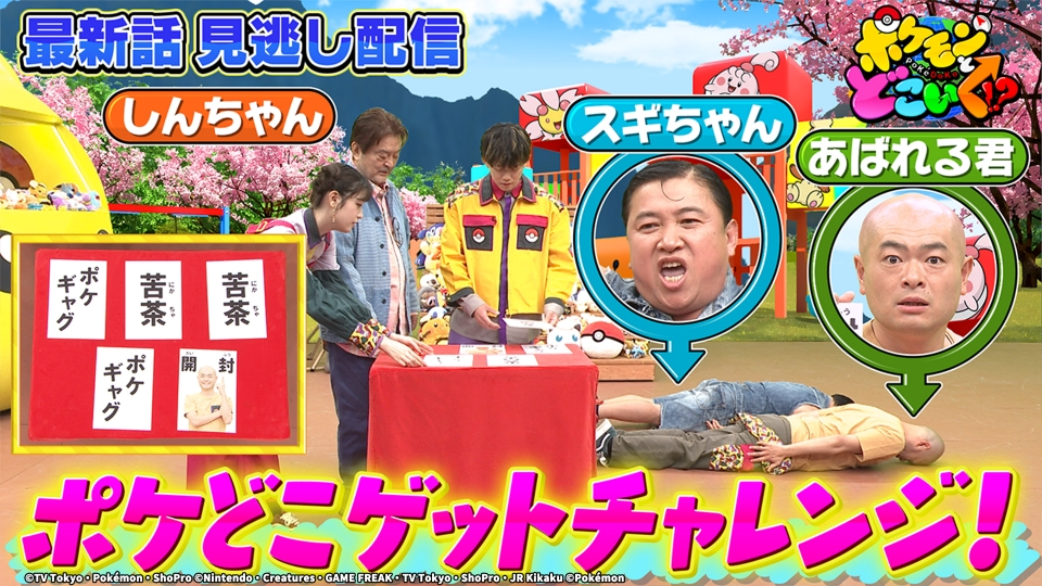 ポケモン - 大事に物を取っておく君 ポケモン - 大事に物を取っておく君 ポケモン - 大事に物を取って