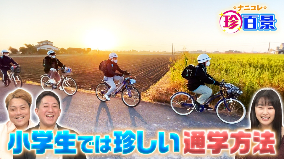 ナニコレ珍百景 2月5日(日)放送分 ｜バラエティ｜見逃し無料配信はTVer！人気の動画見放題