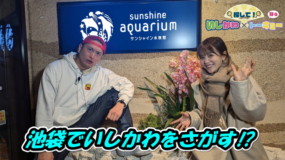 アンビエント名作CD　気舞 / 三上敏視 　デッドストック　解説・細野晴臣 細野晴臣が日本の音楽シーンに与えた影響 ⑩ アンビエントへの