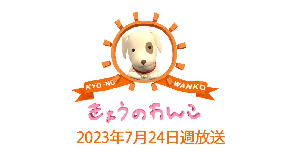 きょうのわんこ 2023/7/24週放送 ｜バラエティ｜見逃し無料配信