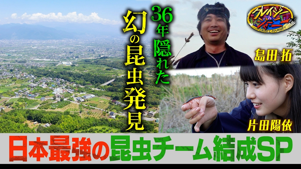 クレイジージャーニー 6月15日(月)放送分 昆虫コンビ島田拓・丸山宗利