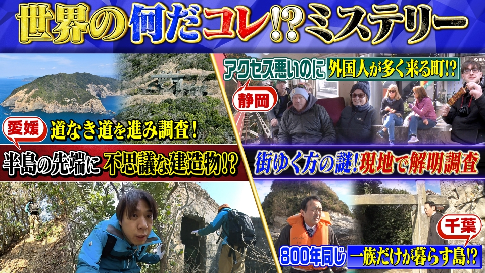 珍妙な石 なんだこれは 珍妙な石 なんだこれは 謎の石？