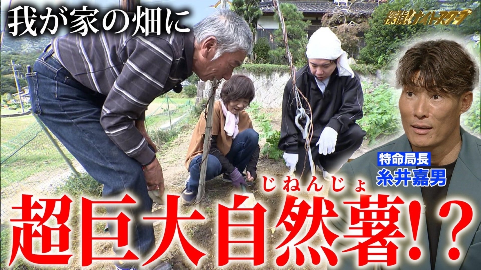 探偵！ナイトスクープ 12月19日(金)放送分 父の愛…9歳の娘にキレイな