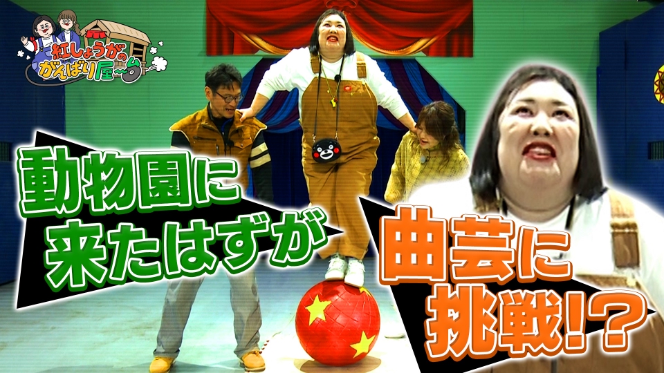 紅しょうがのがんばり屋～台 めざせ！熊本のプロです 4月26日(土)放送
