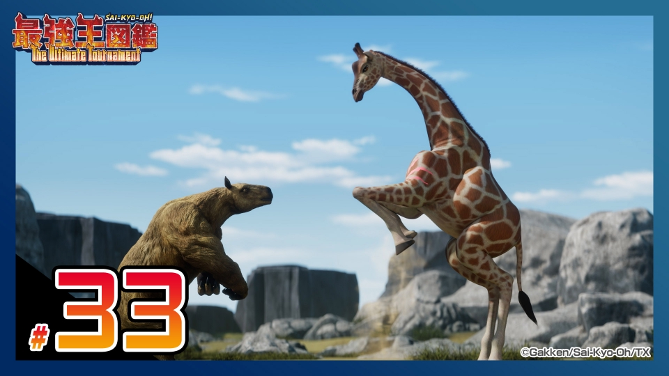 最強王図鑑 ～The Ultimate Tournament～ 11月16日(日)放送分 【マッチ