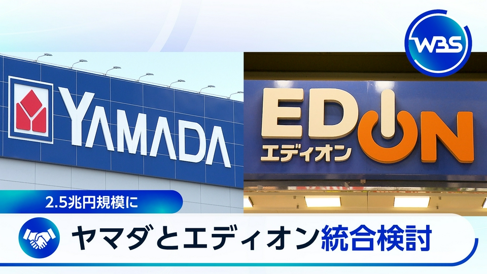 WBS（ワールドビジネスサテライト） 6月4日(木)放送分 ヤマダ