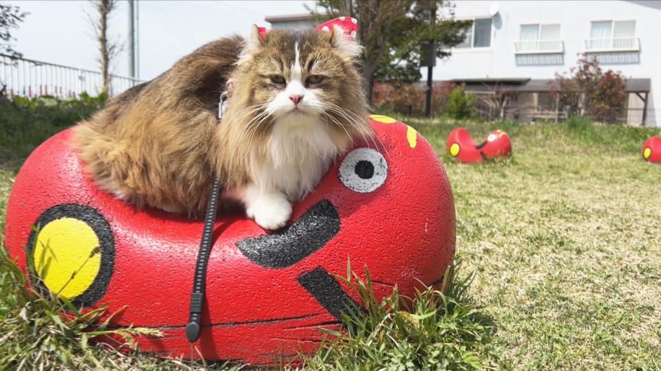 にゃん旅鉄道 6月13日(火)放送分 Vol.203 公園で遊ぶにゃ