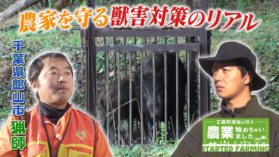 工藤阿須加が行く 農業始めちゃいました 2月18日(水)放送分 獣害から
