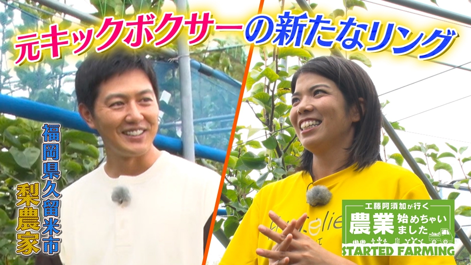 ヒ*イ様 八咫烏交配/加藤農園 農薬散布より手間いらず!!キュウリの水耕栽培で赤色LED防虫灯「虫