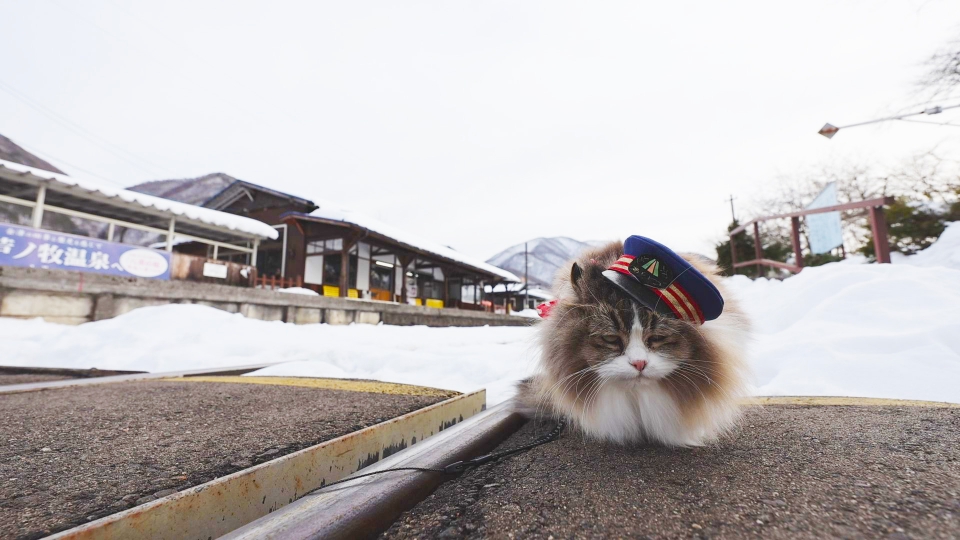 ふにゃ～り日和 2月17日(火)放送分 Vol.99 フォトスポットを紹介する