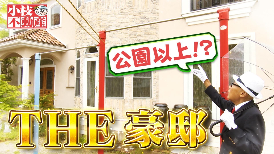 発送は土曜又は日曜日になります 明日の土ダメ！は・・・16時から放送します！！！ 【小枝
