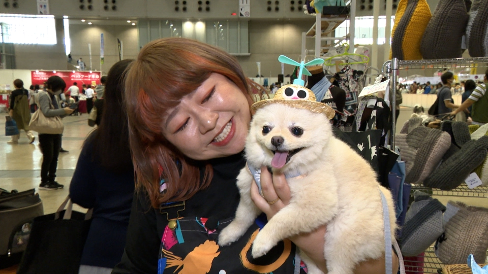 いぬじかん 6月28日(土)放送分 島崎遥香が愛犬との幸せな生活を語る