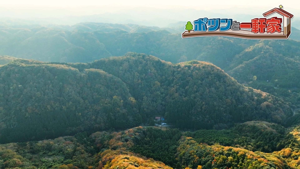 笑神様は突然に バラエティ 見逃し無料配信はtver 人気の動画見放題